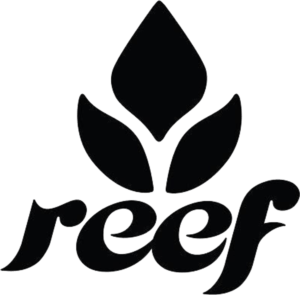 Reef